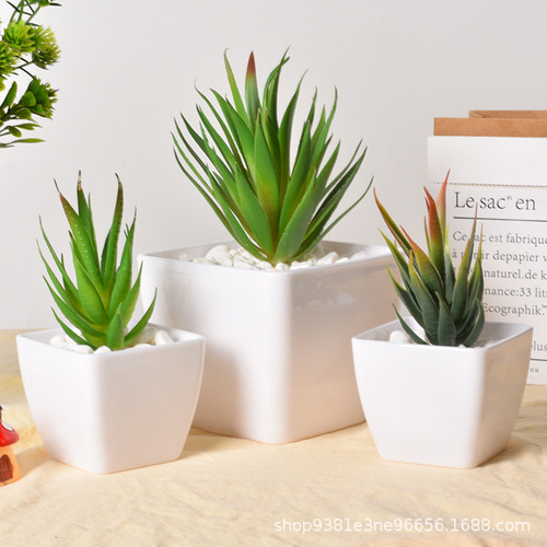 Imitation white porcelain thick succulent plant potted flower pot simple white plastic pot imitation plant desktop decoration decoration pot