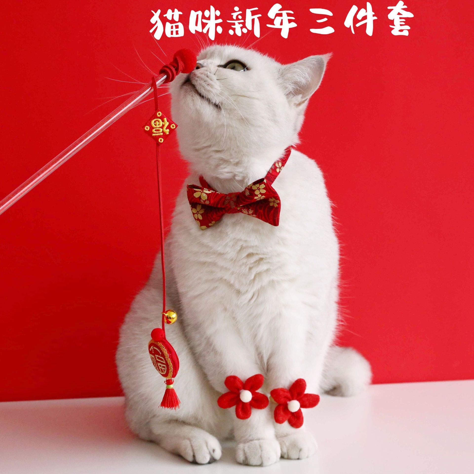 QQ图片20211217153734