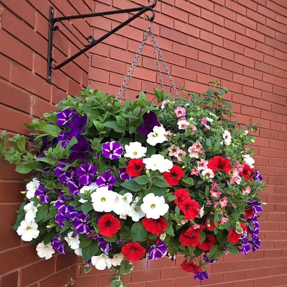 O1CN01ShlDvg1K28JAXdIFd_!!2209