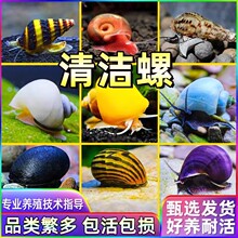 �^�p���O���ݺڽ����ʵ������ذ��R���[�坍���幤���ݻ��w��