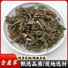 ��ș�����l ���߲� �t���o ���߲� ���߲� �Б��� ֧��ș�z