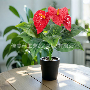 �羳����12�^�t���b���ֲ���Ļ��ܔ[�����Լٻ��Ҿ��b��