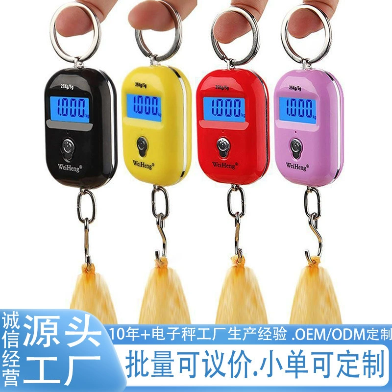 Точные мини портативные электронные весы Высокая точность небольшие портативные весы пружинные весы домашние ручные весы