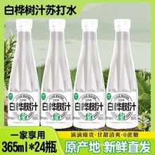 好物甄选愉果先生白桦树汁苏打水天然健康植物饮料整箱--群木其他