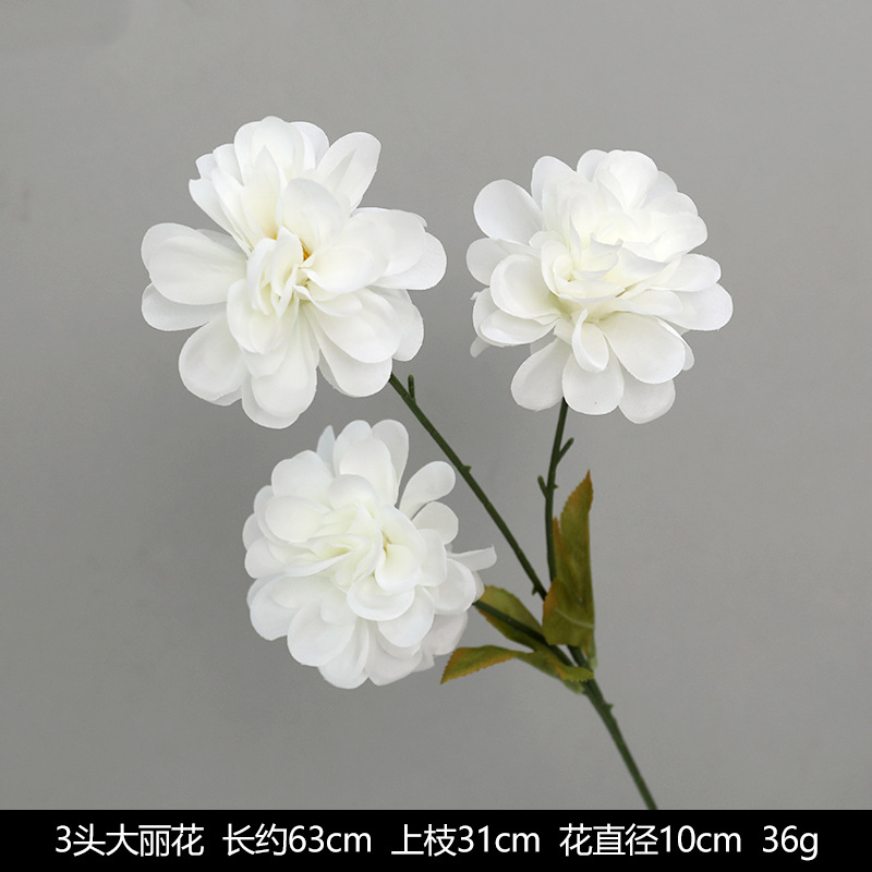3 Dalihua