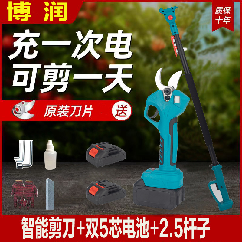 プロの国境を越えた電動剪定鋏、リチウム電池剪定鋏、庭の果樹の果実の枝はさみ、園芸の枝剪定電動工具|undefined