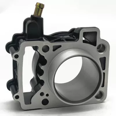 Rs200 As200 Piston Cylinder – Cylinder and parts