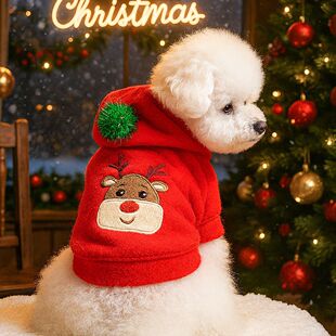 PETCIRCLE����Ȧ�����·�����؈����b������}�Q���·�����
