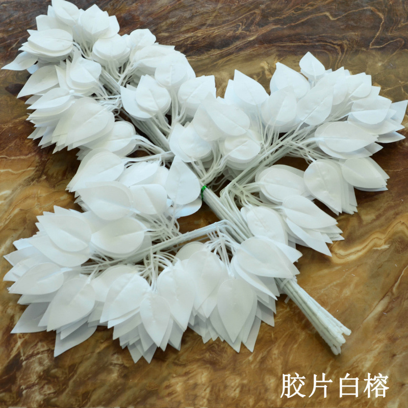 Film white banyan (12 branches in one dozen)