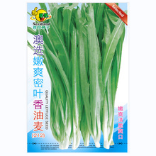 喜良蔬菜种子批发澳选嫩爽密叶香油麦（212）基地田园露地阳台