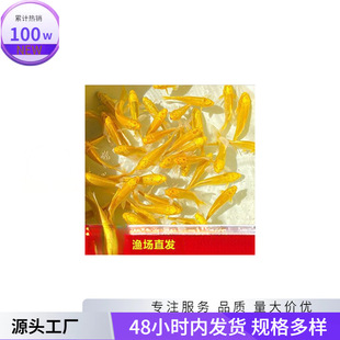 �Lˮ��ؔ�ͻ���B��ˮ��ˮ�\���~����~���w�^�p�~С�����l���u