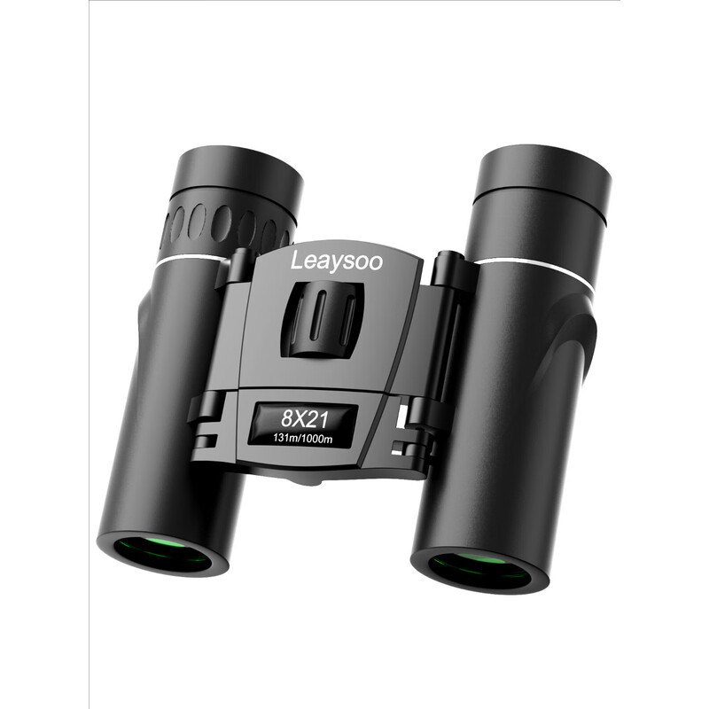 雷龙望远镜高倍高清专业级 雷龙小型迷你便携双筒 儿童手机演唱会