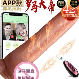 仿真阳具;情趣跳蛋;震动棒
