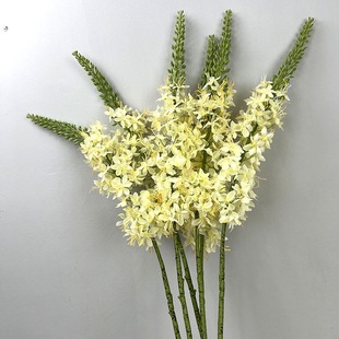 ���滨�w��ݪ�β�ݴ��P��廨������b��ˇ�����Ƶ�Ҿӿ͏d�b�