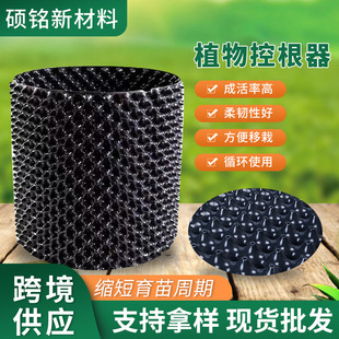 ����ֲ��ظ�����ľ��ֲ������������������������ˮ����������