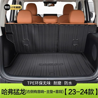 Supplies Harvard Decoration Accessories – Trunk Mat - rapid-dragon-has-a-speaker-on-the-right-main-pad-backrest-23-models-24-standard