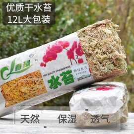 土水苔 土水苔批发 促销价格 产地货源 阿里巴巴