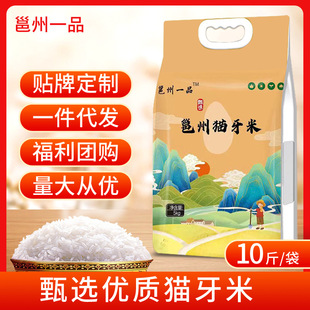 ����10���b�����ڵ�؈�����L������׃��|�z����������������l