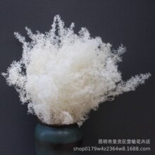 【刺梨】永生花保鲜花刺梨DIY礼盒玻璃罩材料家居婚庆装饰清新风