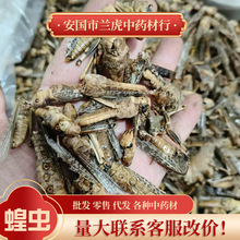 ���l���x Λ���x�� ���x�� Λ�Ƹ� ������Bʳ ��ĥΛ�Ʒ���ș��