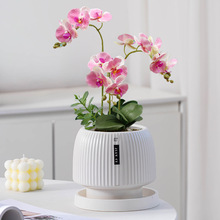 简约蝴蝶兰专用花盆陶瓷竖纹大口径芦荟绿植家用盆栽盆桌面带托盘