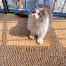 日式仿剑麻地毯猫抓板耐磨不掉现代大号猫爪榻榻米沙发垫禅意客厅