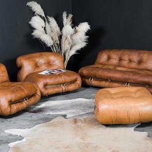 Nordic creative hippo sofa designer leisure chair Internet celebrity retro light luxury lazy living room balcony recliner