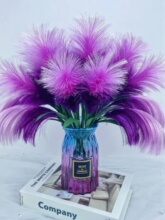 �z���JȔ�����s�¿��ֹ������������ϰ��ʎ���DIY�׃��@���