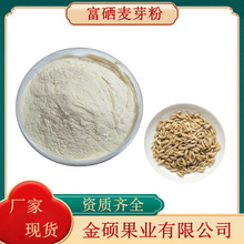 富硒麦芽粉100ppm  麦芽粉 硒麦芽 植物硒蛋白 现货供应量大优惠