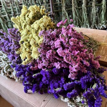 勿忘我干花花束大束风干真花鲜花批发客厅家居装饰摆件花情人节