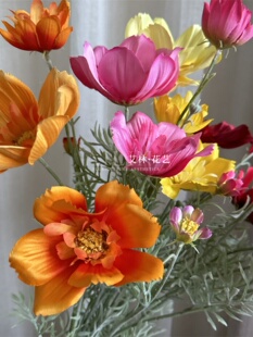 4 Queen's Cosmos Flowers, Garden Cosmos, Field Daisies, Gesang Flowers, Wedding Photography Props Flowers