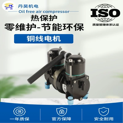 58W Dc Compressor for Backpack Oxygen Concentrator Small 12V Oil-Free Air Compressor Car Portable Air Compressor