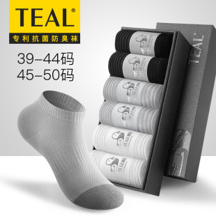 TEAL2025���ļ�����͸���\�Ӷ��m��ʿ�Ӵ�a�y�w�S�������������m