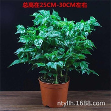 �Ҹ��� ���Կ͏d���B���ܾGֲ�҃��k���Ҵ��;G���ļ����G ƽ����