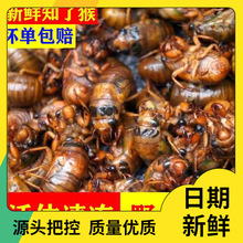 Ұ֪˺rsɽ|rwكsӼɮ⹝l