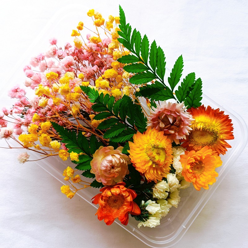 Festival bricolaje hecho a mano material de flor eterna planta flor seca florero flotante aromaterapia flor seca abanico de material paquete al por mayor