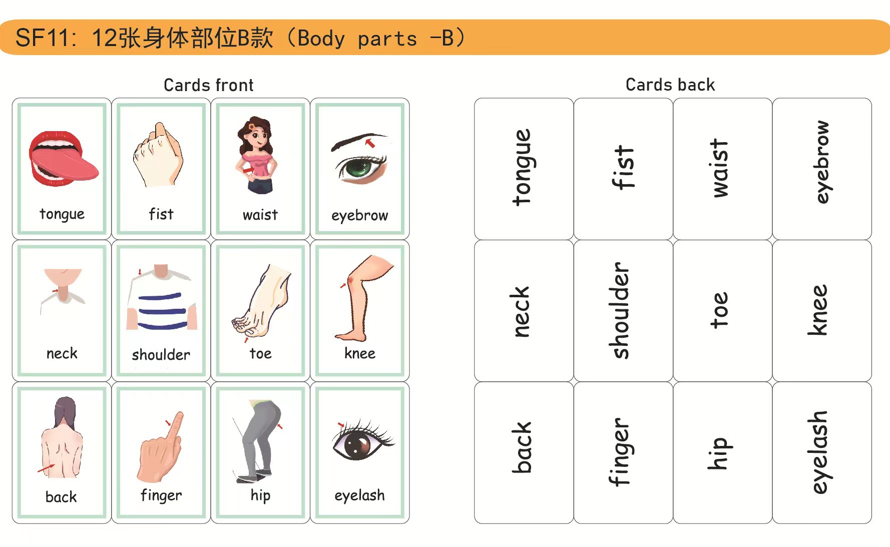 现货跨境 塑封防水英语学习卡片情绪字母颜色水果 flash cards-阿里巴巴