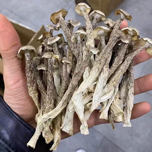 ¹�׹���؛500g�Ҝ���偳���ʳ�ľƵ������ÿ����l���l�a��ֱ�l