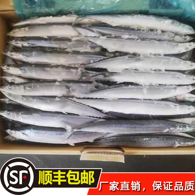 冻货海鲜冷冻品批发秋刀鱼一号二号