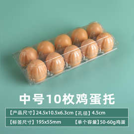 批发10枚鸡蛋托塑料一次性透明十枚10个装土鸡蛋礼盒子包装盒蛋托