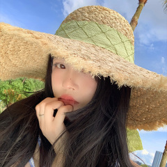 フランスの蝶結びのラフィーの麦わら帽子の女性の夏の大きいつばの日よけの日焼け止めの帽子の海辺のビーチの休暇は帽子を編みます。