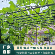 �������ܑ���ͥԺ���Ѽ�֧���Fˇ���ټܽM�bֲ���̨�����ܿ��