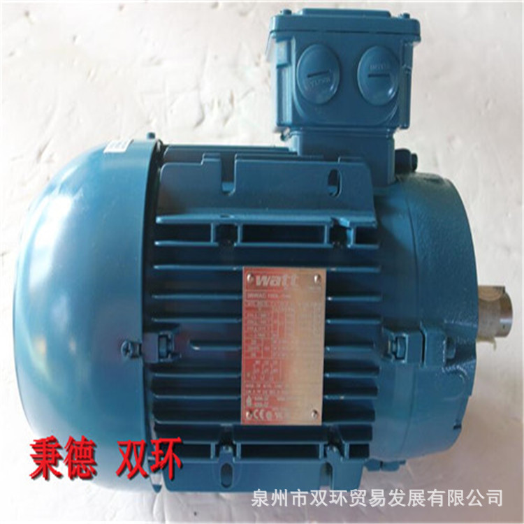 WATT 电机EG GROP，3BWAC 100L-04E