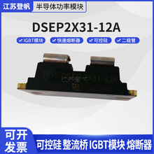 DSEP2X31-12A DSEI2X101-12A XYS��ָ�������ģ��DSA300I200NA