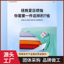 夏季精梳棉圆领男女同款T恤 专柜品质新疆棉T恤厂价直销可印图