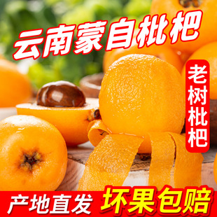 ����������˸�ɽ���r��ժһ�ڱ�֭�����֭һ�����l���l���]