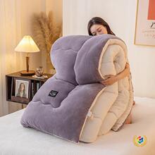 ✅家用双面羊羔绒被子冬被加厚保暖羽丝绒被芯牛奶绒冬棉被批