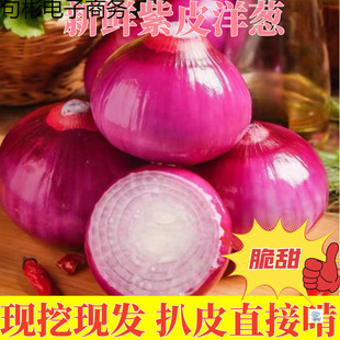 ˮ�����[��ζ�������r��Ƥ���[9�����[�^С�A�[ë�[�t���[