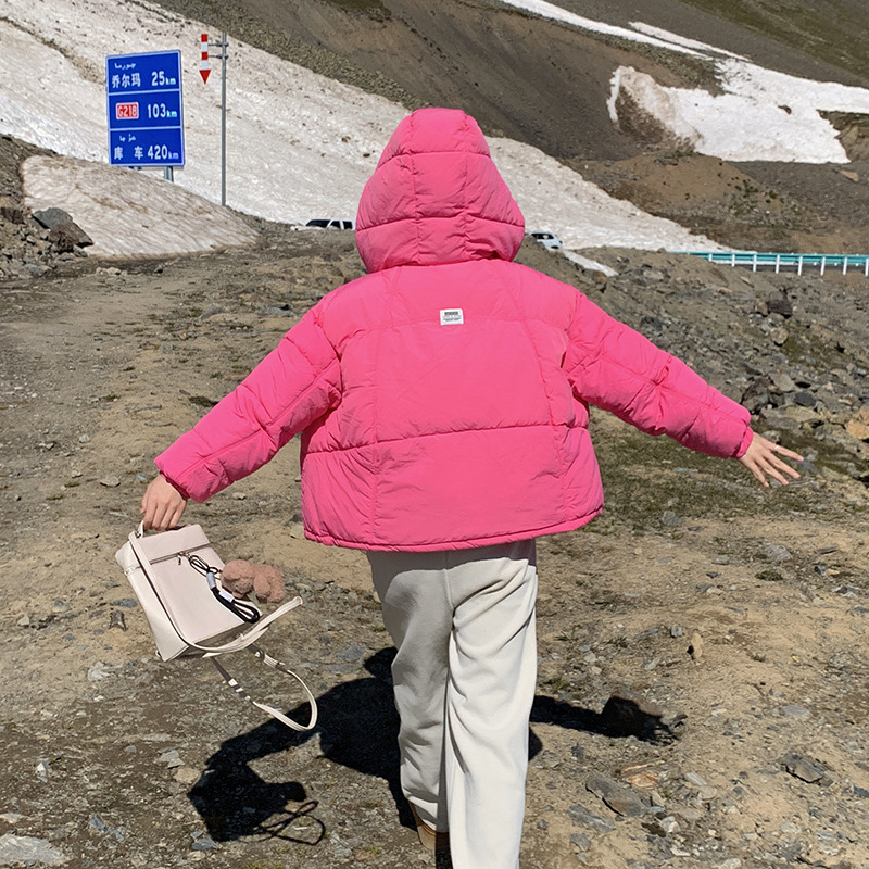 Capa de plumón corta para mujeres 2024 nuevo hombre pequeño estilo de moda extranjero deportivo de plumón pan chaqueta cálida