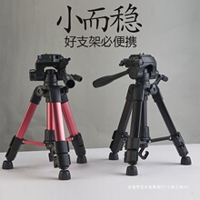 �֙C֧��ֱ�����_����������a����Ӻ��������ҕ�l�zӰ���ϱ�y